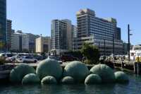 90 Front de mer - Wellington