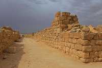 07 Vers la maison aux mangeoires