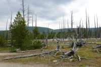40 Monument Geyser Basin
