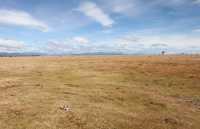 037 Sud de Puerto Natales