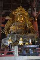 057 Todai-ji (Daibutsu-den) Buddha doré