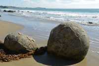 40 Boulders de Moeraki