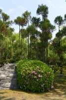 063 Château Nijo-jo (Parc)