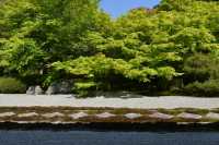 43 Temple Nanzen-ji (Jardin)
