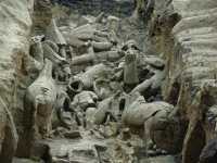 018 Fosse 2 - Chevaux