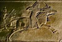 655 Les chasses du roi Assurbanipal