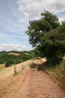 29 - Nord de Sylvanès.jpg