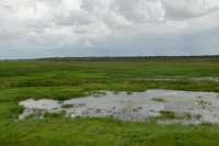 23 Foog Dam (près de Monsoon Forest)