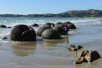 37 Boulders de Moeraki