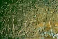 636 Ninive - Palais nord d'Assurbanipal, combat contre les élamites