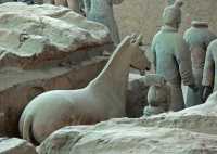 045 Fosse 1 - Cheval *