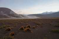 01 Geysers d'El Tatio