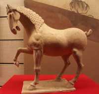 131 Cheval (Tang 618-907)