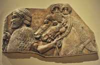 29 Tributaire étranger - Palais de Sargon II à Khorsabad (721-705)