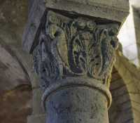 31 Chapiteau - Phénix