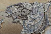 43 Mosaïque byzantine (7°S) Horbat Pi Mazzuva