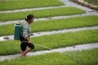 06 Entre Sha Ping & Lijiang