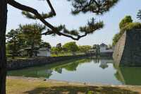 058 Château Nijo-jo (Douves)