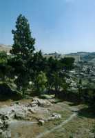 007 St Pierre in Gallicantu