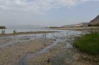 64 Le lac près de Magdala - Tibériade à l'arrière plan à droite