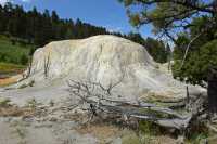 66 Orange Spring Mound