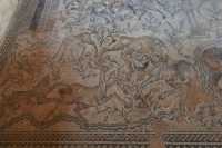 026 Maison du Nil - Mosaïque du Nil