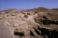 307 Babylone, E-Patulina