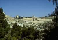 304 St Pierre in gallicantu