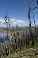 100 Yellowstone (Lake Butte - 2544m)