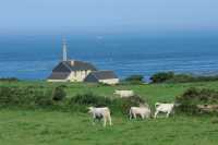 30 Auderville (Herbage & Phare)