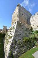 15 Douves et tour de Phasaël (frère d'Hérode) dite de David