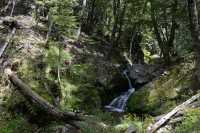 44 Quailburn Track (Benmore Run, Ahuriri Park)