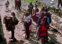 154 De Cuzco au Machu Picchu