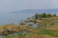 16 Rive du lac près de la chapelle de la confession de Pierre