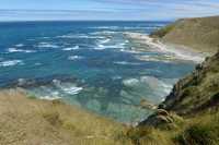 024 Péninsule de Kaikura