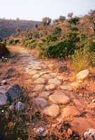 490 Via Appia entre Cumes et Anxur