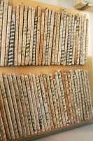 082 - Décor de verre coloré de la porte du temple d'Inshushinak *