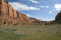 41 Prairie de fleurs