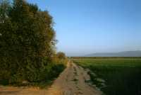 361 De Thessalonique à Bérée