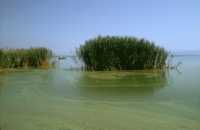 328 Entre Apollonie et Thessalonique