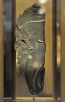 004 Fragment de palette cérémonielle (3200-3100) Jeunes lycaons têtant leur mère