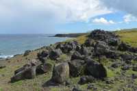 06 Ahu (entre Akahanga et Ahu Oroi)