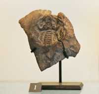 028 - Suse I - Cachet - Maître des animaux & 2 serpents (4200 - 3800) *