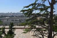 01 Cimetière juif près du Tombeau des prophètes