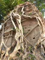 53-Prasat Yeay Peau *