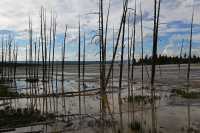 22 Lower Geyser Basin
