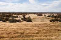 038 Sud de Puerto Natales