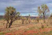 67 Près de Kings Creek B