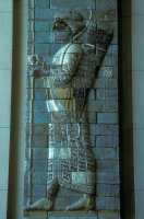 363 bis  Archer perse