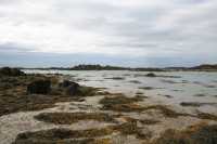 119 Nord de la grande grève